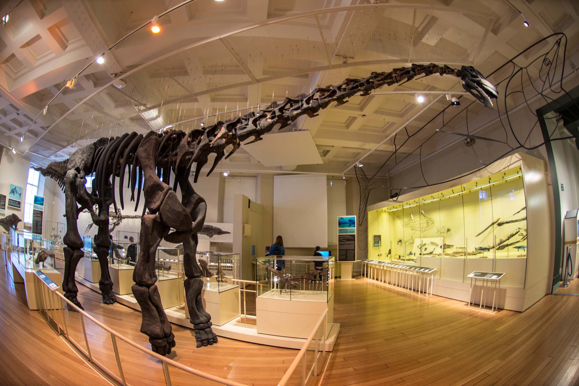 Leicester Museum and Art Gallery